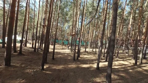 FPV drone view of Obstacle course in the forest at the Rope Park Stock Footage 220422248