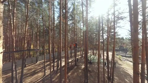 FPV drone view of Obstacle course in the forest at the Rope Park Stock Footage 220422315