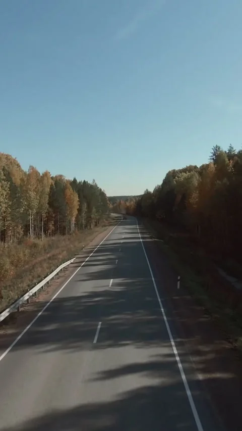 FPV drone view of straight empty highway through golden autumn forest at dusk Stock Footage 346559077