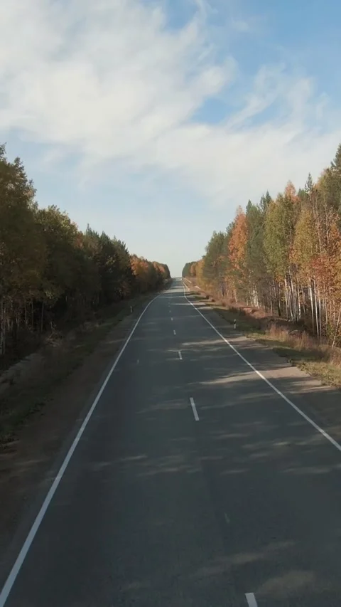 FPV drone view of straight empty highway through colorful autumn forest Stock Footage 346559193