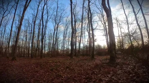 Fpv drone winter forest pack in differents views Stock Footage 300853008