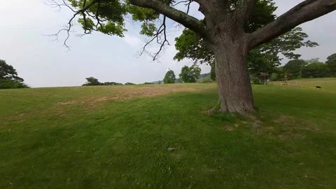 FPV Drone's Aerial Ode to Spring: Rocky Point Exploration Video stock 243367178