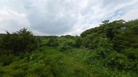 FPV Drone's Spring Soar: Rocky Point's Ocean &amp; Park Video stock 243367097