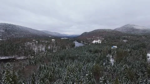 Fpv drop into snowy forest opening Stock Footage 321178247