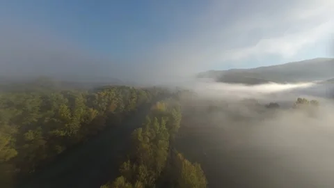 FPV flight above autumn forest and morning fog Stock Footage 346000815