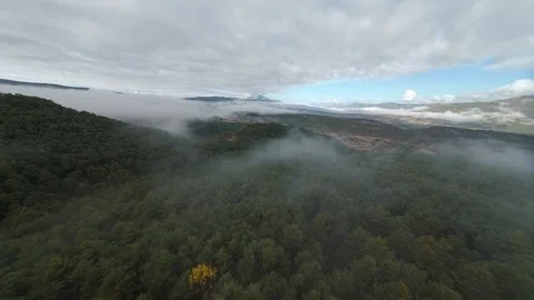 FPV flight above forest under low clouds Stock Footage 346000323