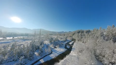 FPV flight along a mountain river surrounded by a snow-covered forest. Stock Footage 226409486