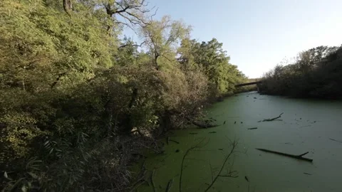 FPV flight along a narrow river flowing under a bridge Stock Footage 289041314