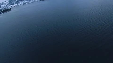 FPV flight with an eagle over a Canadian lake in winter 스톡 동영상 224732714