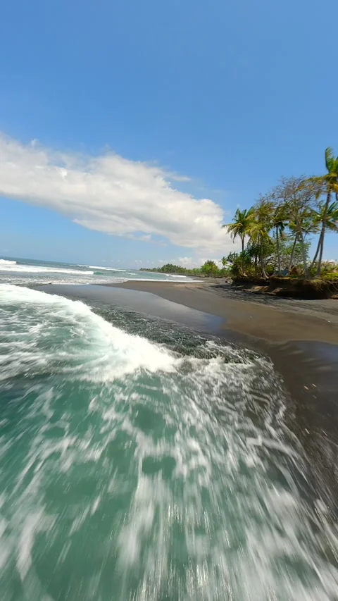 FPV flight over black sand beach with ocean waves and palm trees, Bali Indonesia Stock Footage 306517514