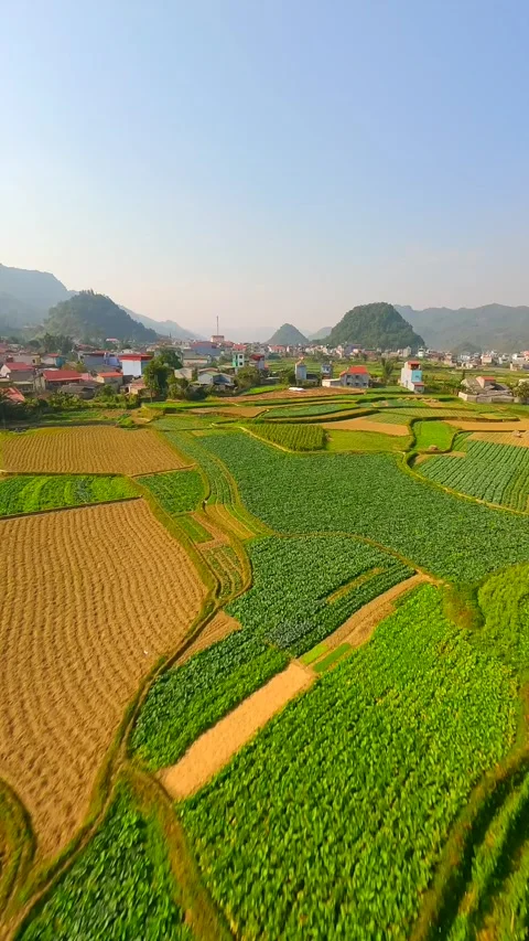 FPV Flight Over Fields In Picturesque Village In North Vietnam Stock Footage 262607580