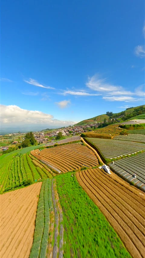 FPV flight over fields in the village on the slopes of Sumbing volcano Indonesia Stock Footage 279986529