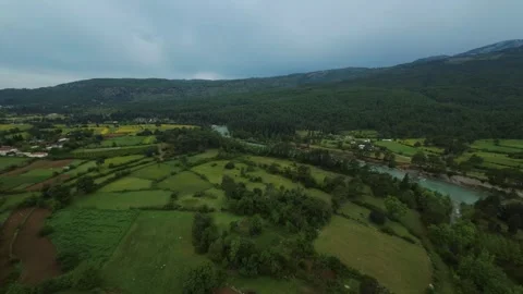 FPV Flight Over Forest and Fields in Mountain Valley Stock Footage 309038091