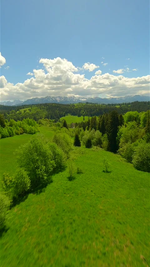 FPV flight over green meadow near the Tatra mountains in summer, Poland. 스톡 동영상 276901272