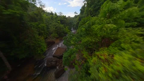 FPV flight over tropical river among the lush jungle in Thailand Stock Footage 270369612