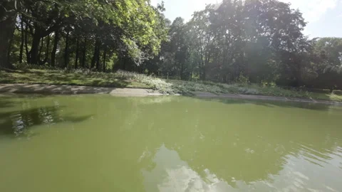 FPV flight over Warsaws azienki Park Stock Footage 282953248