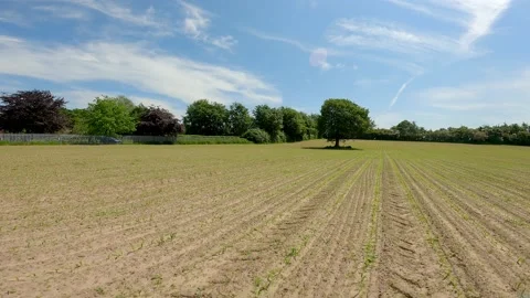 FPV flight, Smooth sweeping motion over crops followed by drone crash. Stock Footage 155227482