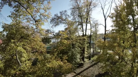 FPV flight through the autumn park with a view of the river and the bridge Stock Footage 289049324