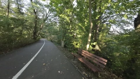 FPV flight through a beautiful park Stock Footage 289039924