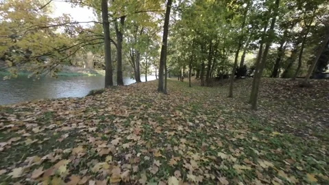 FPV flight through a beautiful park in autumn Stock Footage 289040702