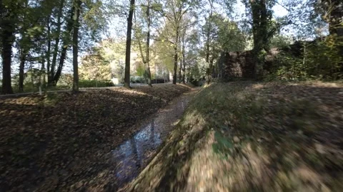 FPV flight through a beautiful park in autumn Stock Footage 289047243