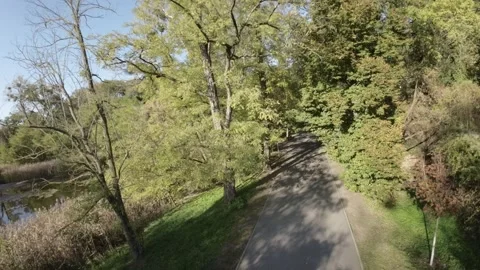 FPV flight through a beautiful park Stock Footage 289048113