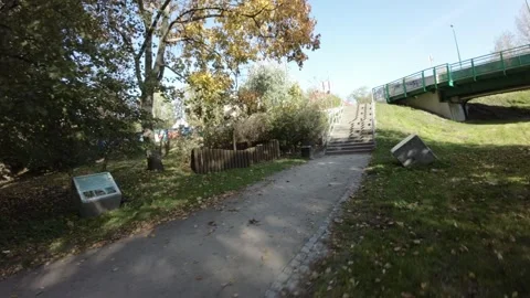 FPV flight through a beautiful park in autumn Stock Footage 289049056