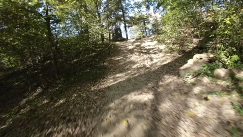 FPV flight through a beautiful park Stock Footage 289051885