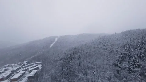 Fpv flight through dense snowfall over alpine forest Stock Footage 321251825
