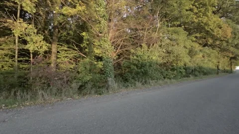 FPV flight through the forest Stock Footage 289040531