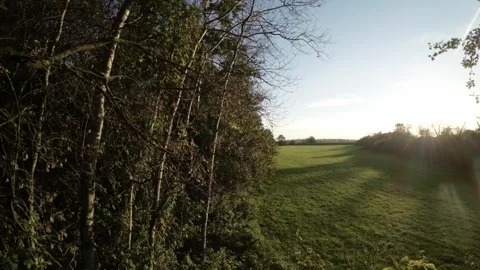 FPV flight through the forest Stock Footage 289040962