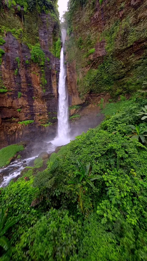 FPV flight through lush tropical jungle toward Kapas Biru waterfall in Indonesia 動画素材 336560503