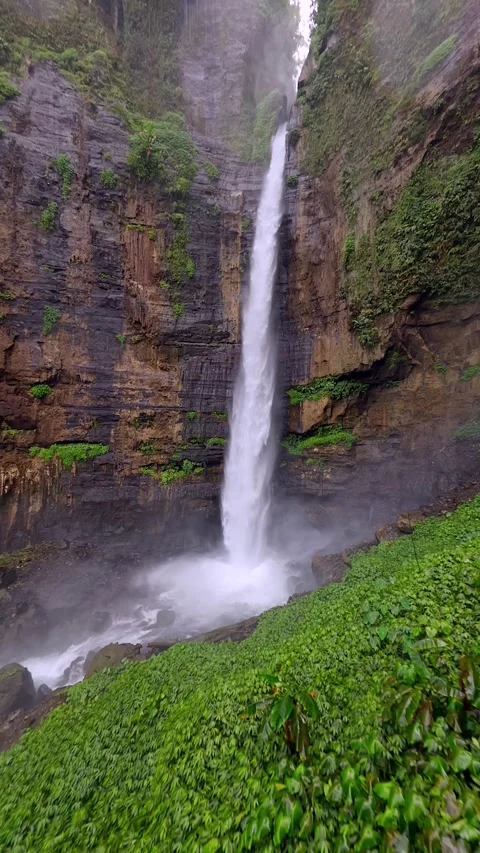 FPV flight through lush tropical jungle toward Kapas Biru waterfall in Indonesia Vidéo 346238448