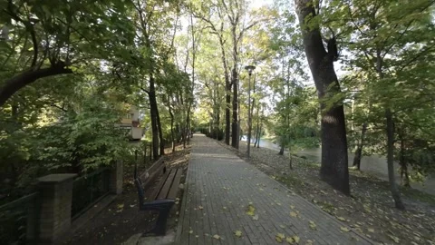 FPV flight through narrow park alley with trees and fallen leaves Stock Footage 289043280