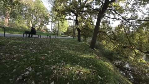 FPV flight through a park Stock Footage 289039867