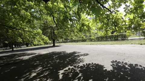 FPV flight through a park in Warsaw, Poland Stock Footage 283553428