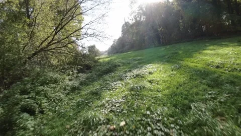 FPV flight through the woods and along the edge of a large grass field on a Stock Footage 289051687