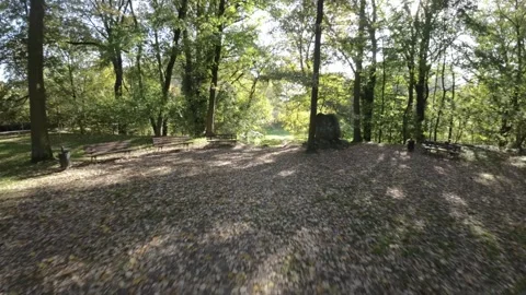 FPV flight through the woods Stock Footage 289052336