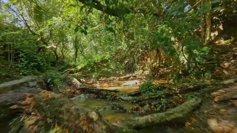 FPV Flight Upstream Along Overgrown River in Tregargus Valley Stock Footage 346717224