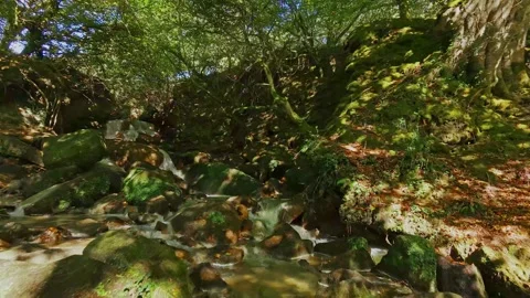FPV Flight Upstream of Cascading Waterfall in Tregargus Valley Cornwall Stock Footage 346717609