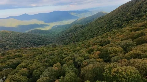 FPV: Flying over Appalachian forest, North Carolina, US 스톡 동영상 309979346