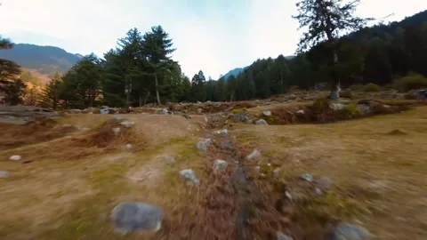 FPV Flying over the mountains covered with beautiful green pine forests. Stock Footage 259390146