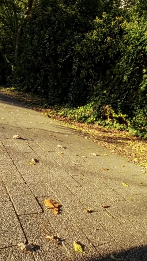 FPV flying through a park Stock Footage 289040273