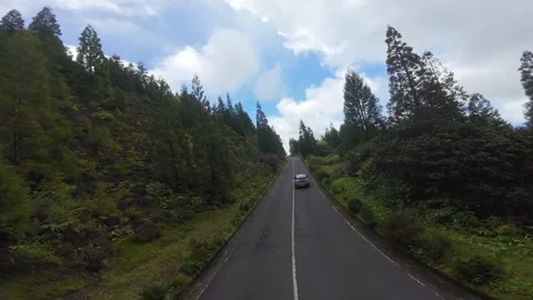 FPV Follow Shot on Forest Path-06 Stock Footage 322690071