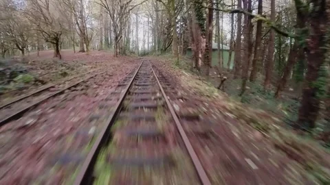 FPV Follow the train tracks through the forest on an overcast day 動画素材 219518620