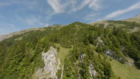 FPV Forest Climb to Alpine Ridge – Mountain Ascent (4K) Stock Footage 311545939