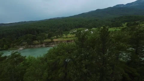 FPV Glide from Forest to River in Seamless Landscape Transition Stock Footage 309038042