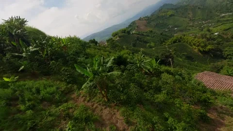 FPV Landscape, nature Stock Footage 312709753