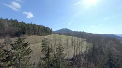 FPV Long-Range FPV Cruise Over Styrian Forest Stock Footage 167942516