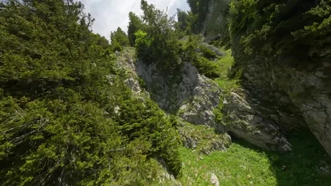 FPV Mountain Ascent and Dive – Rocky Terrain with Trees (4K) Stock Footage 311508326